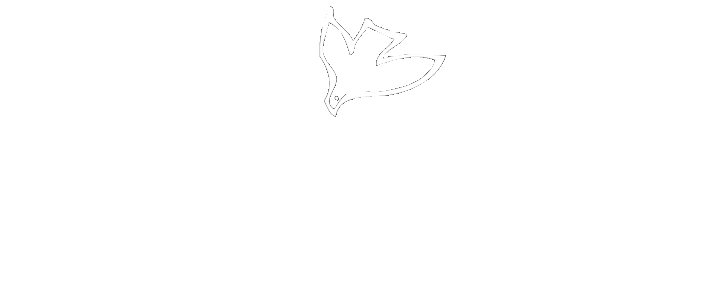 Lake Shore Baptist