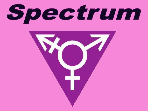 Spectrum WNY